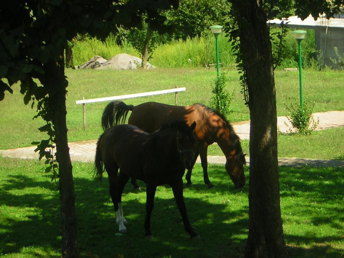 Villapiana Country House Pellezzano Esterno foto